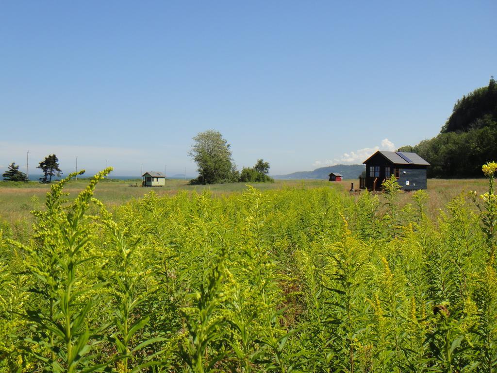 Вілла Domaine Floravie Бік Екстер'єр фото