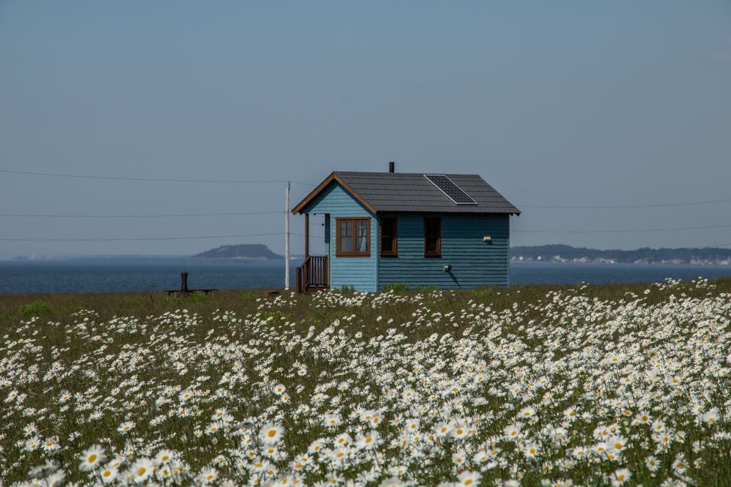 Вілла Domaine Floravie Бік Екстер'єр фото