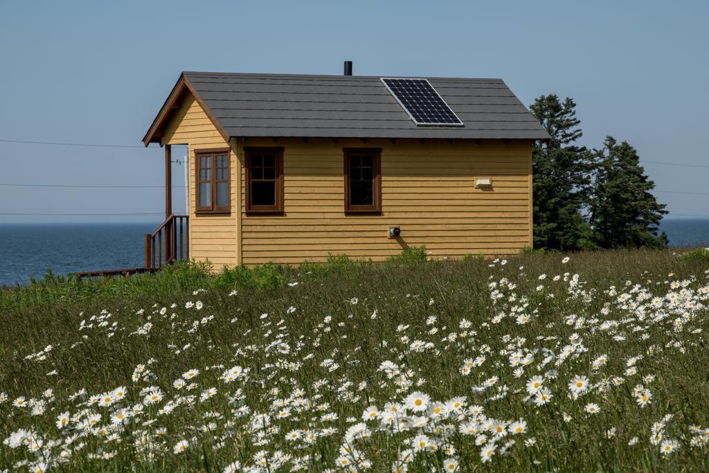 Вілла Domaine Floravie Бік Екстер'єр фото